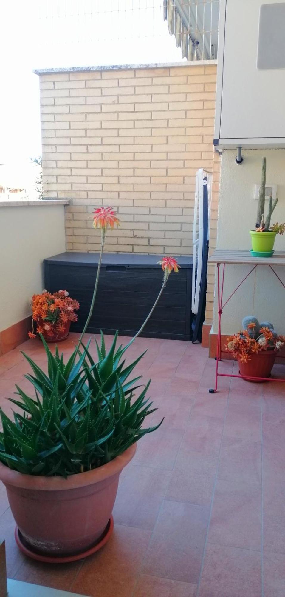 Appartamento A Few Steps From The Sea Fiumicino Esterno foto